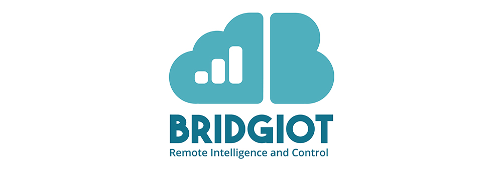 Bridgiot